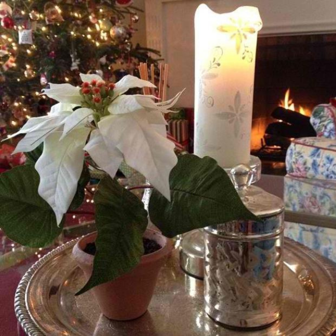 Lovely life-style photo of a white flower with a White on white 3x8 pillar burning beside it, in the background is a lite Christmas tree and fire place roaring!